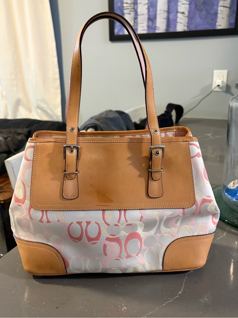 Coach Hampton optic Y2K handbag